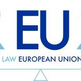 Call of interest - Intensive Course on "Rule of Law and Fundamental Rights Protection in the EU" - 3, 4, 13, 14 and 15 February 2025