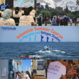 NKUA-Harvard Refugee and Migration Studies Summer School 